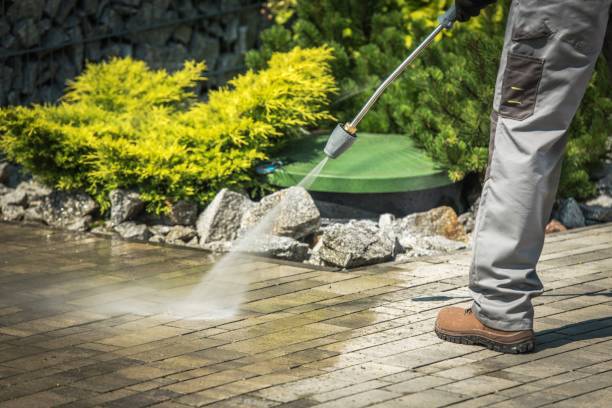 Best Solar Panel Cleaning  in Cleves, OH