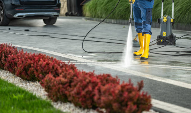 Best Driveway Pressure Washing  in Cleves, OH